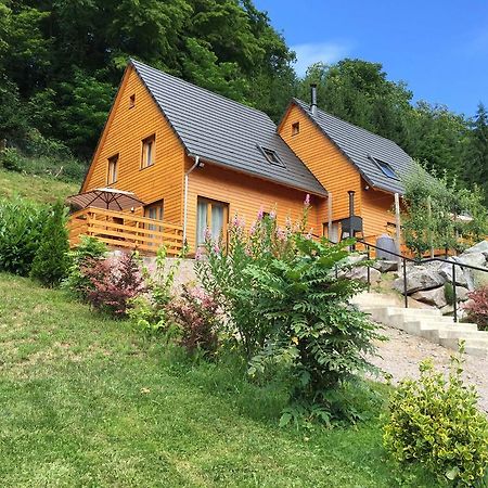 Le Chalet La Cigogne Et Le Chamois Мюнстер Екстериор снимка