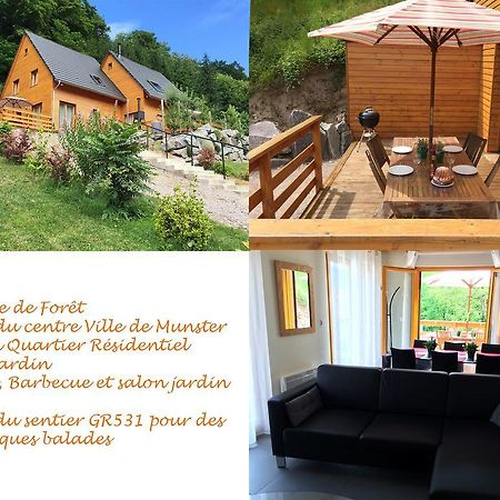 Le Chalet La Cigogne Et Le Chamois Мюнстер Екстериор снимка